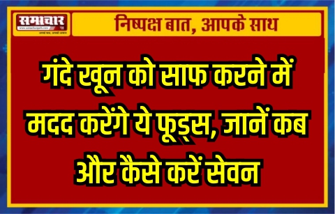 गंदे खून को साफ करने में मदद करेंगे ये फूड्स, जानें कब और कैसे करें सेवन