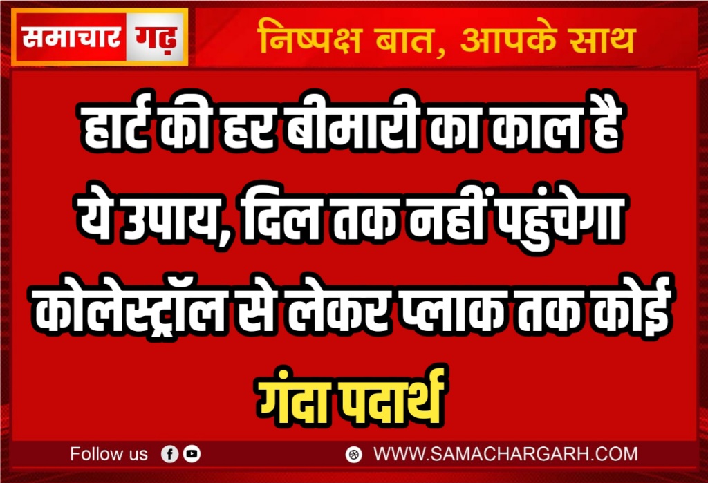 हार्ट की हर बीमारी का काल है ये उपाय, दिल तक नहीं पहुंचेगा कोलेस्ट्रॉल से लेकर प्लाक तक कोई गंदा पदार्थ