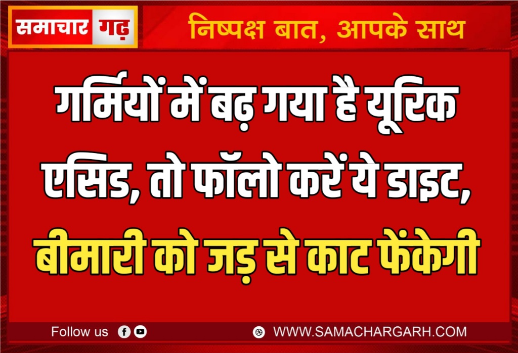 गर्मियों में बढ़ गया है यूरिक एसिड, तो फॉलो करें ये डाइट, बीमारी को जड़ से काट फेंकेगी