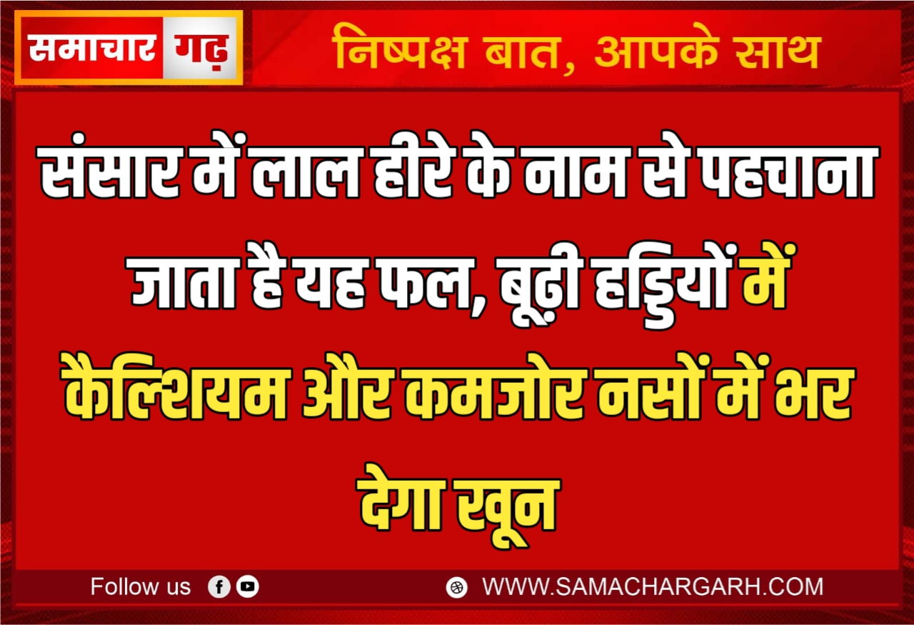 संसार में लाल हीरे के नाम से पहचाना जाता है यह फल, बूढ़ी हड्डियों में कैल्शियम और कमजोर नसों में भर देगा खून