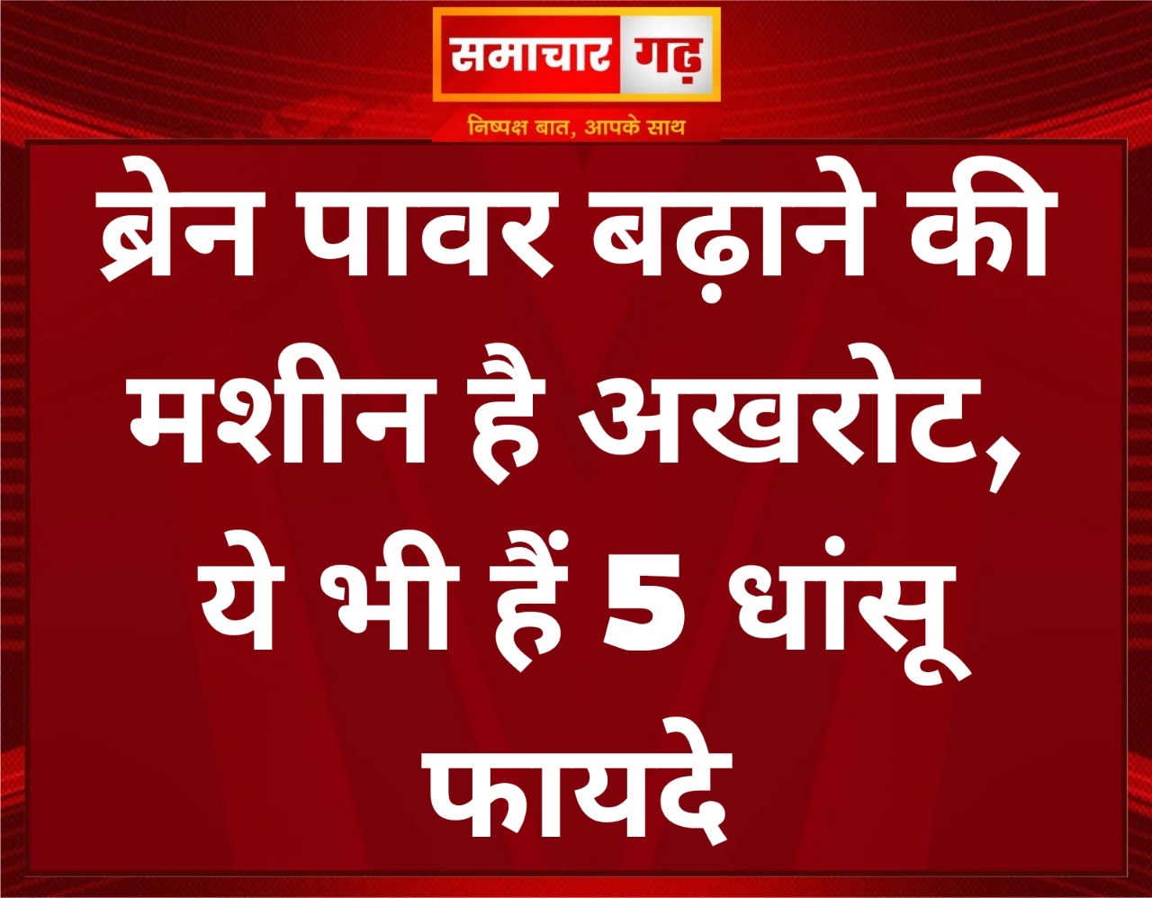 ब्रेन पावर बढ़ाने की मशीन है अखरोट, ये भी हैं 5 धांसू फायदे