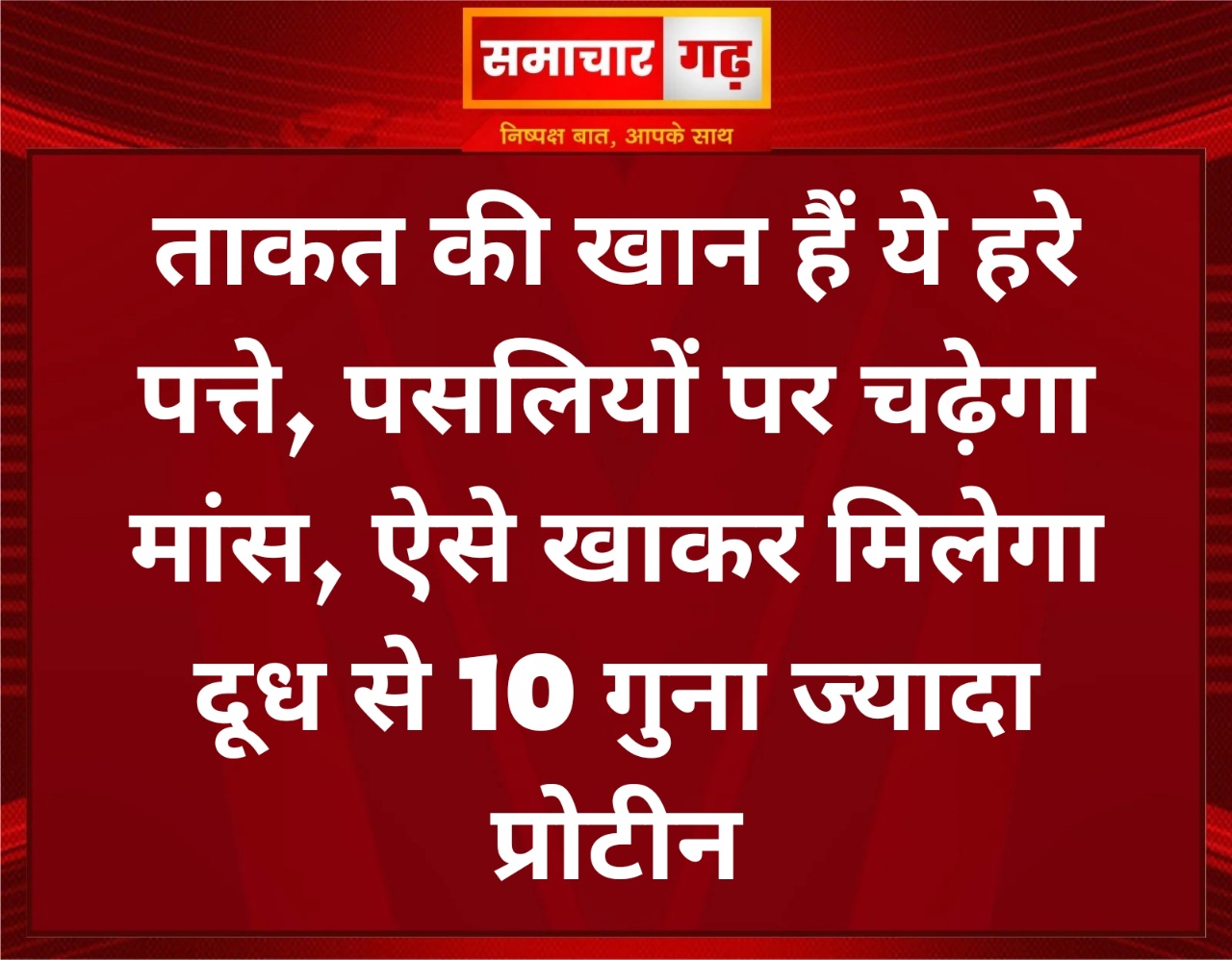 ताकत की खान हैं ये हरे पत्ते, पसलियों पर चढ़ेगा मांस, ऐसे खाकर मिलेगा दूध से 10 गुना ज्यादा प्रोटीन