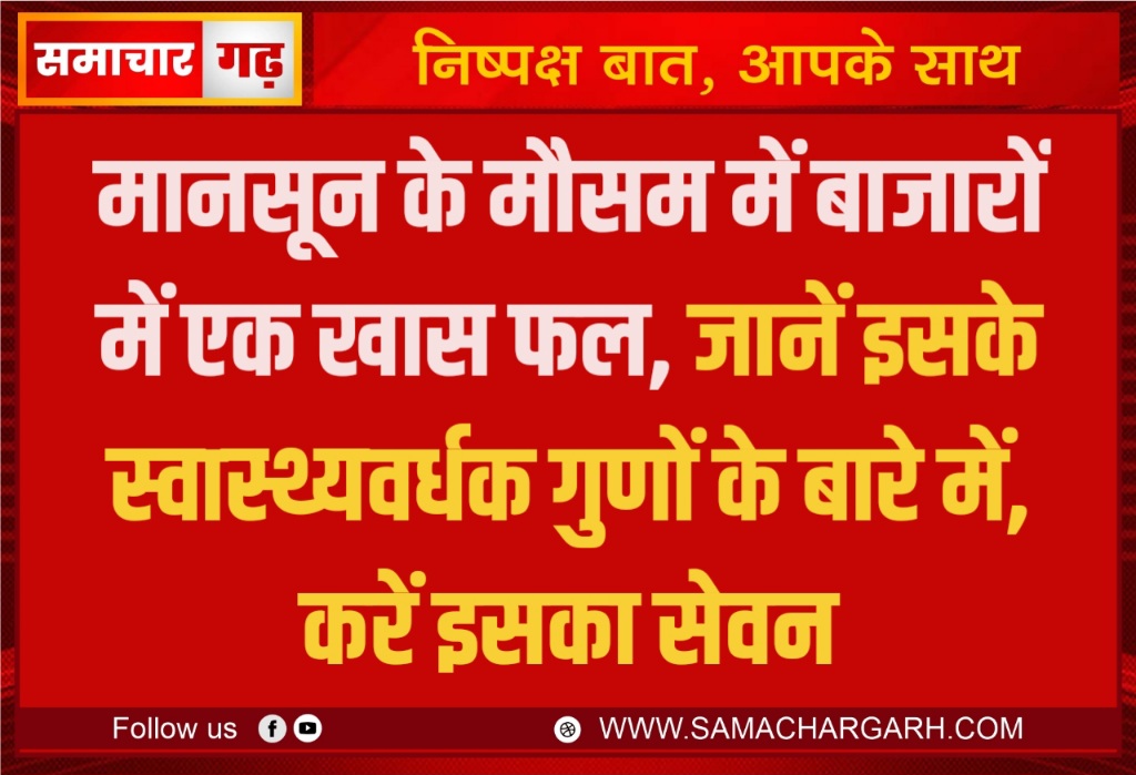 मानसून के मौसम में बाजारों में एक खास फल, जानें इसके स्वास्थ्यवर्धक गुणों के बारे में, करें इसका सेवन