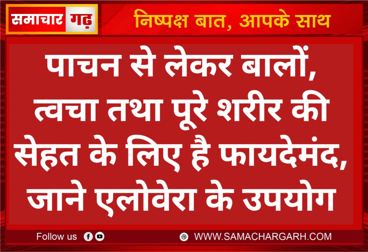 पाचन से लेकर बालों, त्वचा तथा पूरे शरीर की सेहत के लिए है फायदेमंद, जाने एलोवेरा के उपयोग