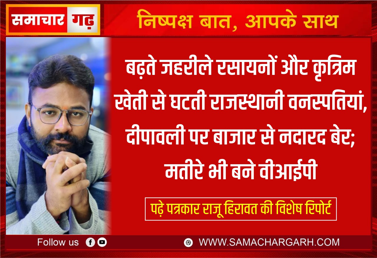 बढ़ते जहरीले रसायनों और कृत्रिम खेती से घटती राजस्थानी वनस्पतियां, दीपावली पर बाजार से नदारद बेर; मतीरे भी बने वीआईपी