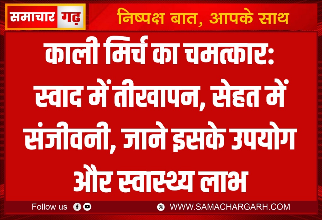 काली मिर्च का चमत्कार: स्वाद में तीखापन, सेहत में संजीवनी, जाने इसके उपयोग और स्वास्थ्य लाभ