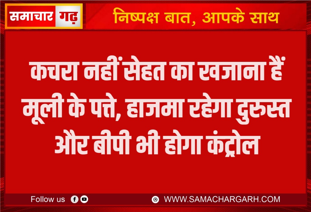 कचरा नहीं सेहत का खजाना हैं मूली के पत्ते, हाजमा रहेगा दुरुस्त और बीपी भी होगा कंट्रोल