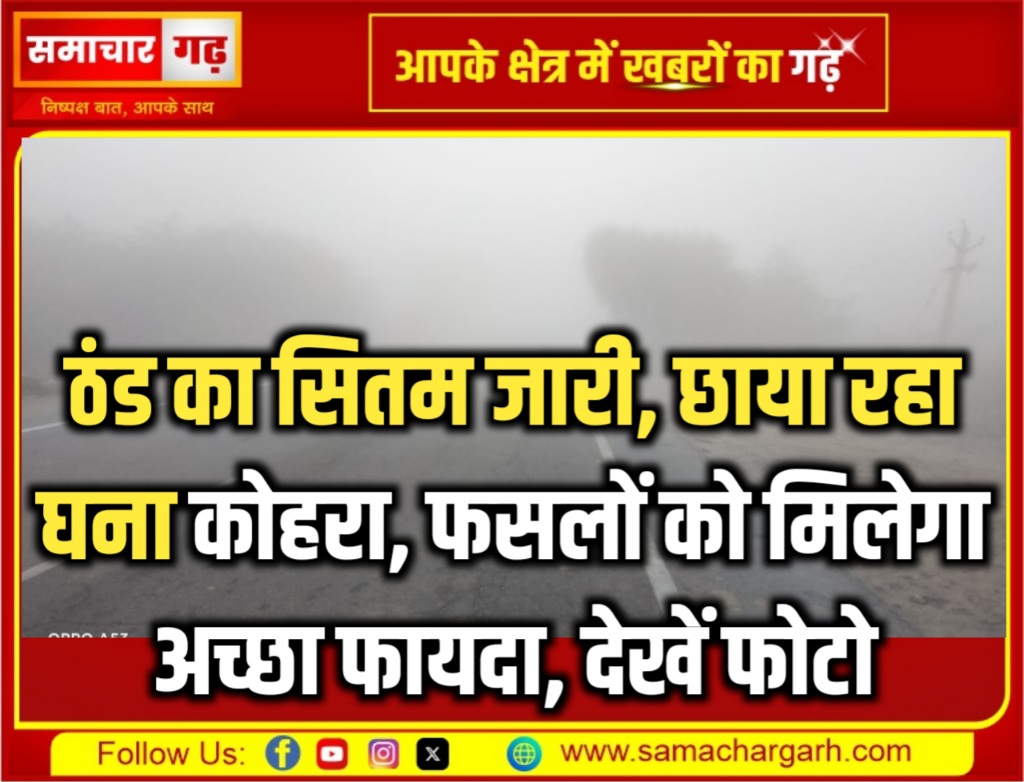 ठंड का सितम जारी, छाया रहा घना कोहरा, फसलों को मिलेगा अच्छा फायदा, देखें फोटो