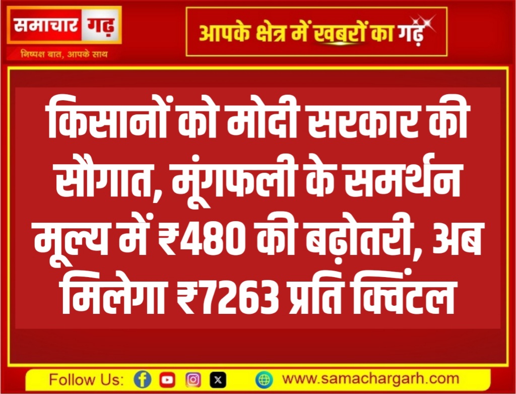 किसानों को मोदी सरकार की सौगात, मूंगफली के समर्थन मूल्य में ₹480 की बढ़ोतरी, अब मिलेगा ₹7263 प्रति क्विंटल