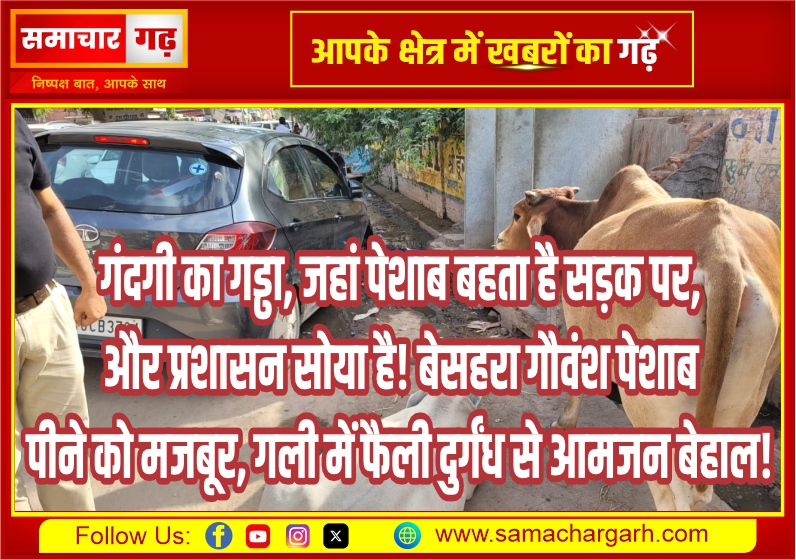 गंदगी का गड्ढा, जहां पेशाब बहता है सड़क पर, और प्रशासन सोया है! बेसहरा गौवंश पेशाब पीने को मजबूर, गली में फैली दुर्गंध से आमजन बेहाल!