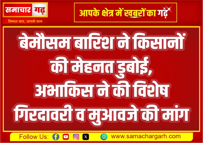 बेमौसम बारिश ने किसानों की मेहनत डुबोई, अभाकिस ने की विशेष गिरदावरी व मुआवजे की मांग