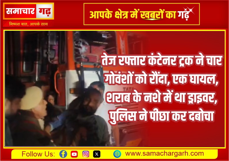 तेज रफ्तार कंटेनर ट्रक ने चार गोवंशों को रौंदा, एक घायल, शराब के नशे में था ड्राइवर, पुलिस ने पीछा कर दबोचा