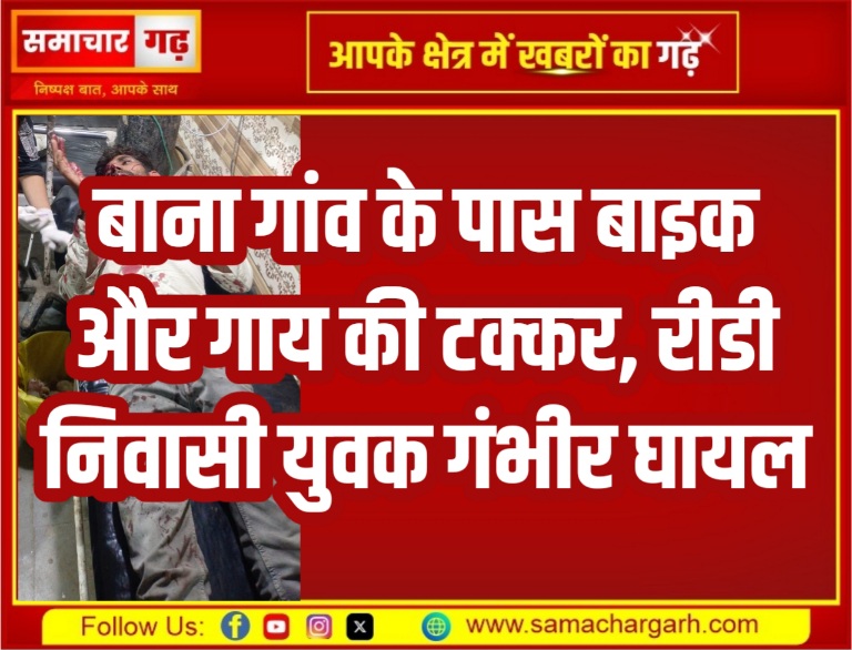 बाना गांव के पास बाइक और गाय की टक्कर, रीडी निवासी युवक गंभीर घायल