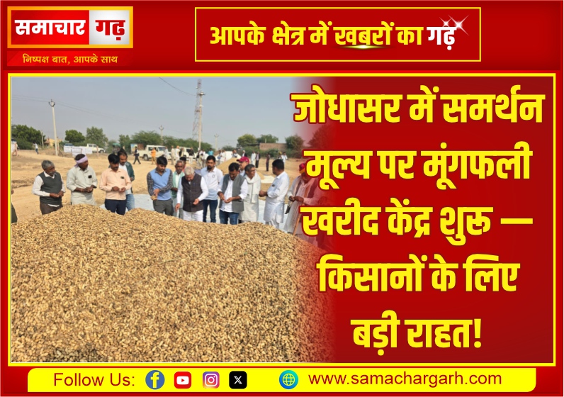 जोधासर में समर्थन मूल्य पर मूंगफली खरीद केंद्र शुरू — किसानों के लिए बड़ी राहत!