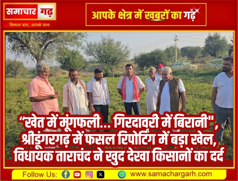 “खेत में मूंगफली… गिरदावरी में बिरानी”, श्रीडूंगरगढ़ में फसल रिपोर्टिंग में बड़ा खेल, विधायक ताराचंद ने खुद देखा किसानों का दर्द