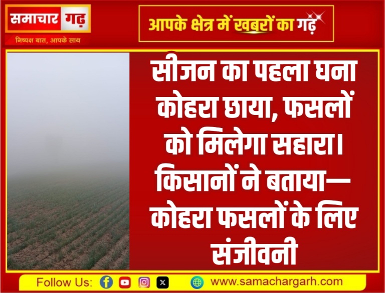 सीजन का पहला घना कोहरा छाया, फसलों को मिलेगा सहारा। किसानों ने बताया— कोहरा फसलों के लिए संजीवनी