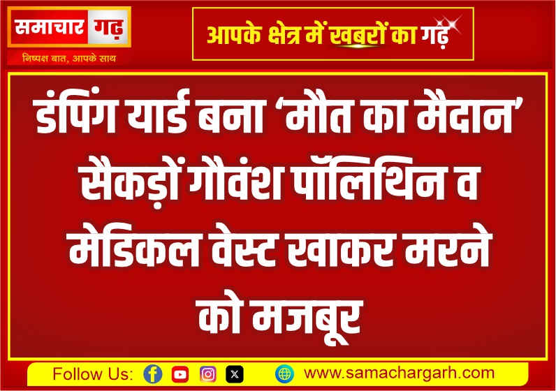 डंपिंग यार्ड बना ‘मौत का मैदान’—सैकड़ों गौवंश पॉलिथिन व मेडिकल वेस्ट खाकर मरने को मजबूर