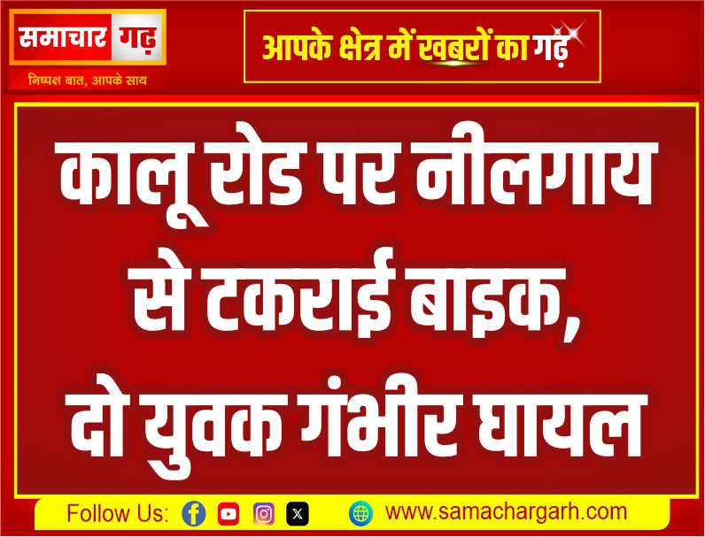 कालू रोड पर नीलगाय से टकराई बाइक, दो युवक गंभीर घायल