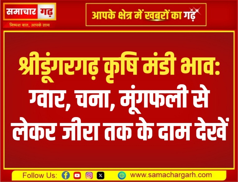 श्रीडूंगरगढ़ कृषि मंडी भाव: ग्वार, चना, मूंगफली से लेकर जीरा तक के दाम देखें