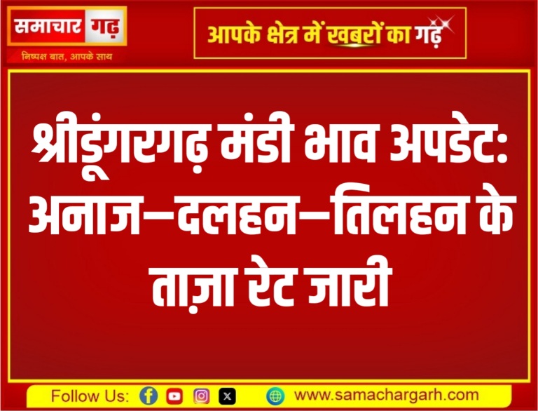 श्रीडूंगरगढ़ मंडी भाव अपडेट: अनाज–दलहन–तिलहन के ताज़ा रेट जारी