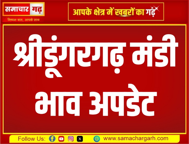 श्रीडूंगरगढ़ मंडी भाव अपडेट