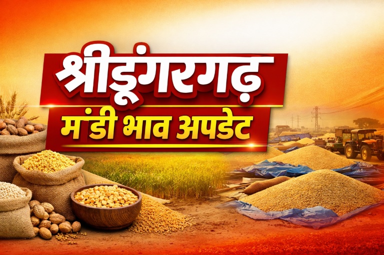 श्रीडूंगरगढ़ मंडी भाव अपडेट